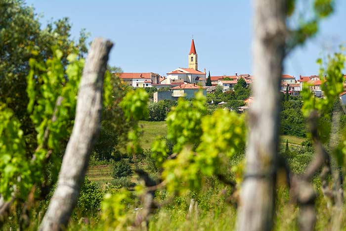 Brtonigla - Verteneglio - Istra