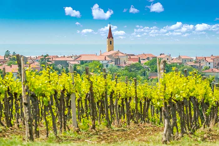 Brtonigla - Verteneglio - Istra