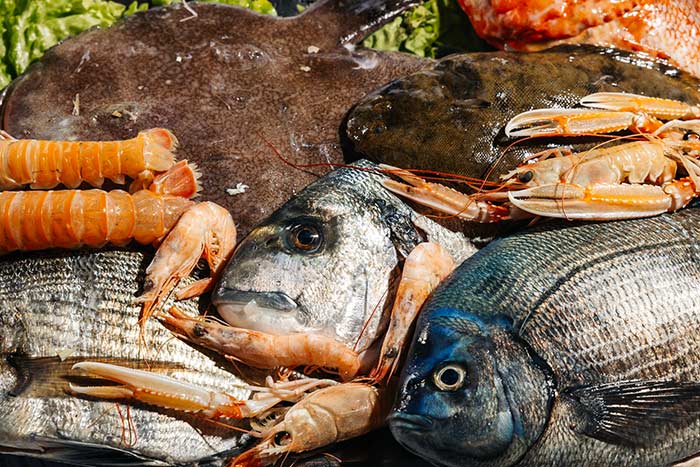 Brtonigla - Verteneglio - Istra