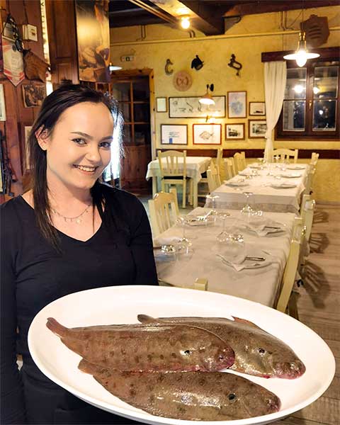 Brtonigla - Verteneglio - Istra - Istria