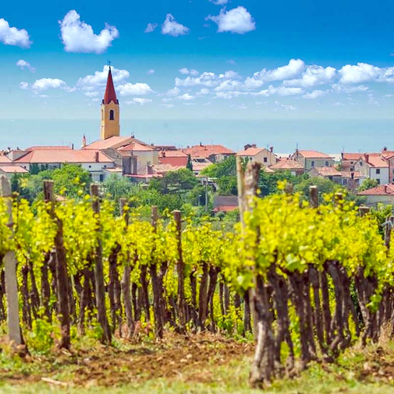 Brtonigla - Verteneglio