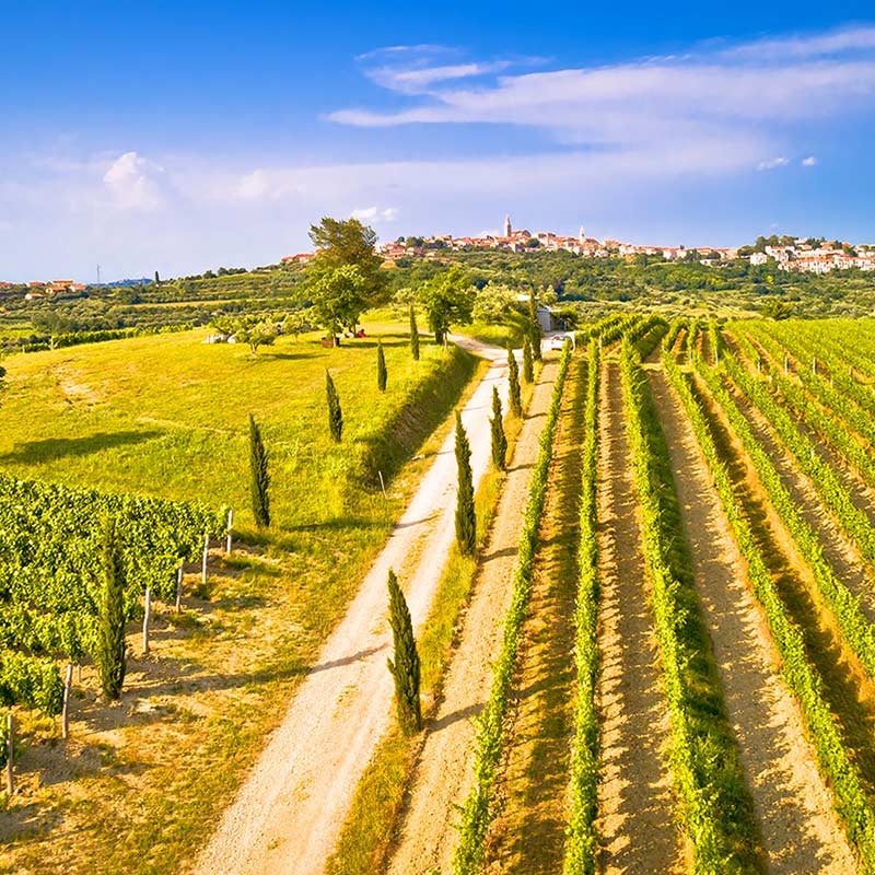 Inspiracija savršenstva - naš susjed