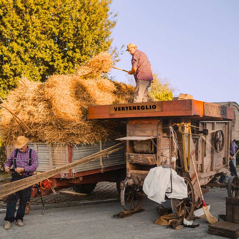 Brtonigla - Verteneglio